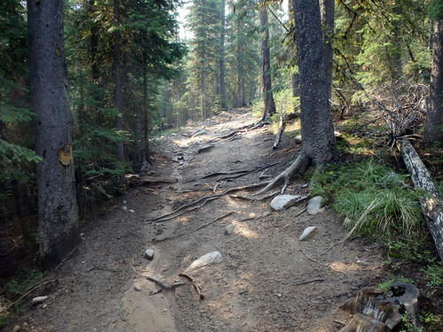 GDMBR: Challenging Bicycle Tour Trail.
